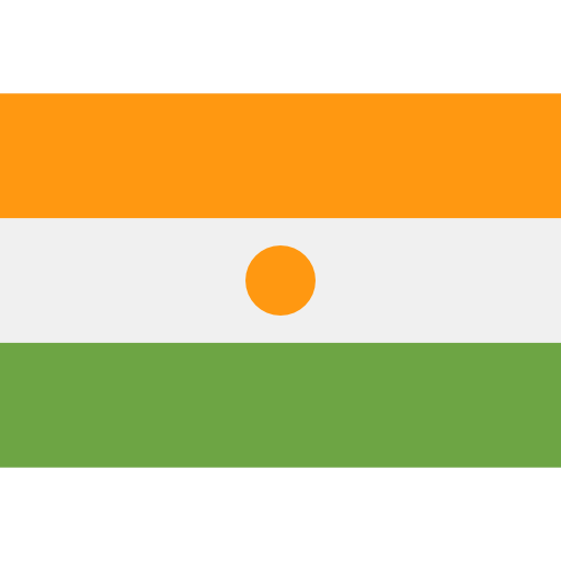 Níger flag